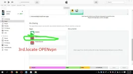 first (3).webp