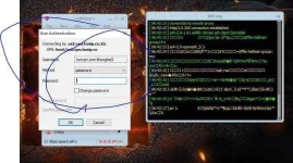 Capture111.webp