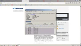 dl.webp