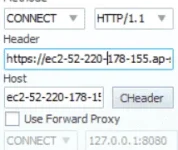 Capture.webp