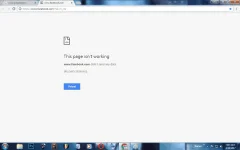 2.webp