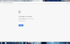 4.webp