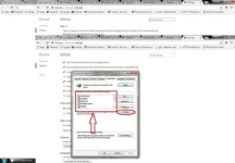 step5.webp