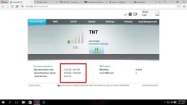 tnt bug.webp