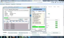 hnh2.webp