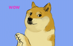 wow.gif