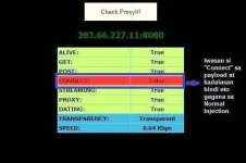 RP_2.webp