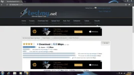 Nicole.webp