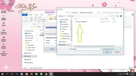5.webp