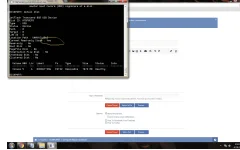 22222.webp