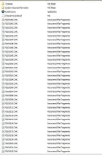 1.webp