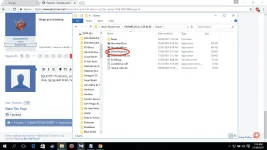 Driver.webp