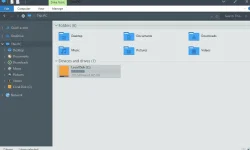 Capture.webp