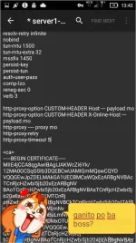 TMPDOODLE1494049590071.webp