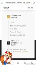 TMPDOODLE1494077803517.webp