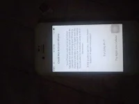 1494132383869838790517.webp