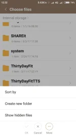 Screenshot_2017-05-11-12-32-50-701_com.android.fileexplorer.webp