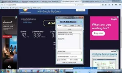 lwping.webp