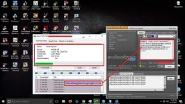 host.webp