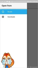 TMPDOODLE1495041596593.webp