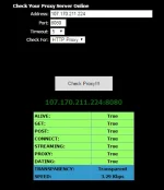 Working Proxy.webp