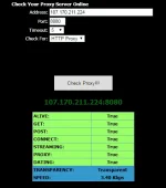 Working Proxy 2.webp