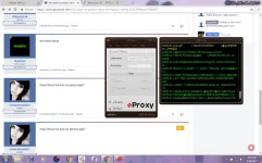 Capture.webp