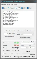 3.webp