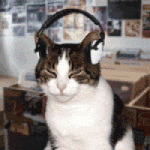 avatar1.gif