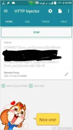 TMPDOODLE1495628716246.webp