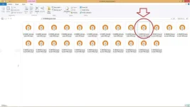 TUT5.webp