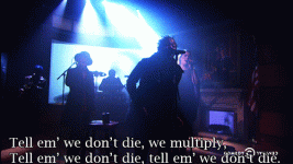 tumblr_ni8cyvhDvd1qj313eo4_500.gif tumblr_ni8cyvhDvd1qj313eo4_500.gif