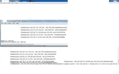 XD.webp