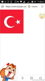 TMPDOODLE1496160148474.webp