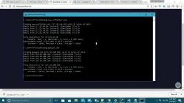 PING.webp