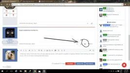 123.webp