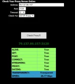 proxy 2.webp