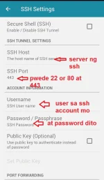 8.webp
