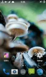 screen.webp