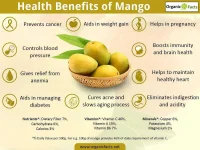 mangoinfographic.webp