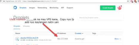 6.webp 6.webp