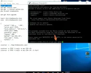 12.webp