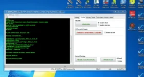1.webp