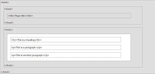 Capture.webp