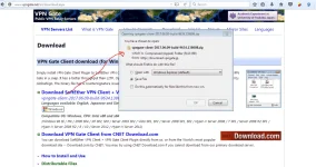 ss4.webp