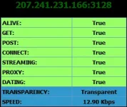 usa2.webp