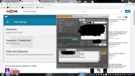 PAINT.webp