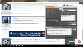 1.webp