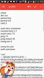 TMPDOODLE1497608608544.webp