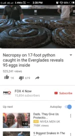 Screenshot_20170618_152842.webp